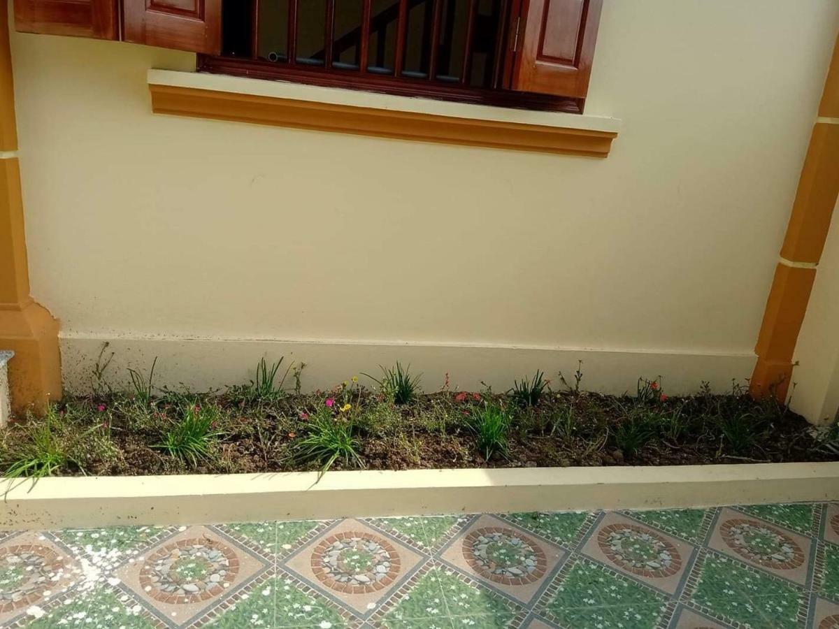 Linh Linh Homestay 宁平 外观 照片